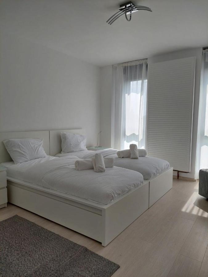 Casa Maria City Apartments Temešvár Exteriér fotografie